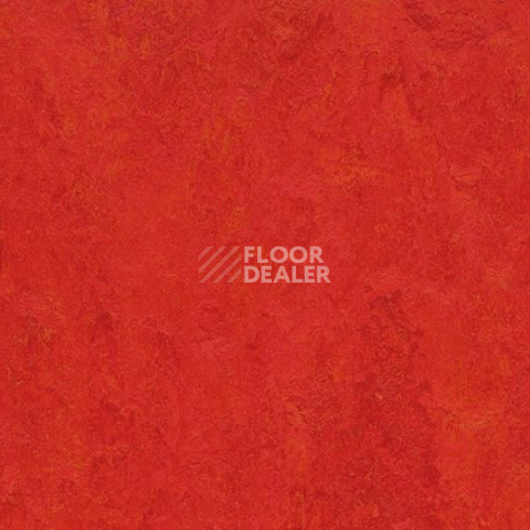 Кварцвиниловые полы Forbo Marmoleum Modular t3131 scarlet фото 1 | FLOORDEALER